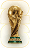 World Cup Icon